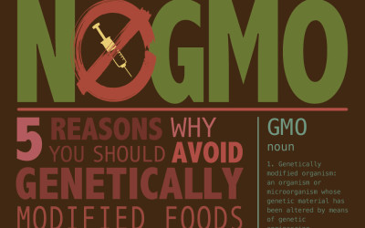 No GMO: 5 Reasons To Avoid Genetically Modified Organisms